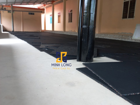 Cung cấp thi công Gạch cao su dày 20mm tại Long An LH: 0898080320