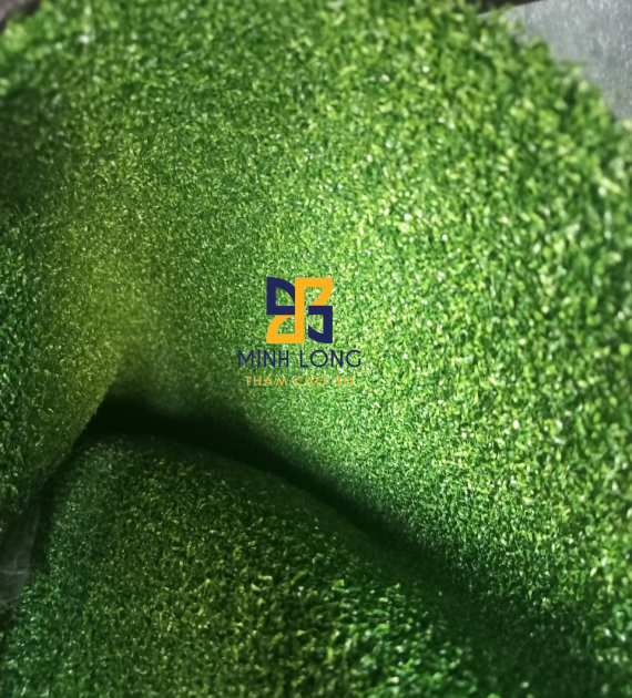 Cỏ Golf CCGRASS